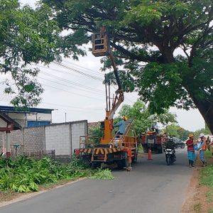 Pemangkasan Pohon di Jalur Blora-Banjarejo, Pengendara Diminta Hati-Hati