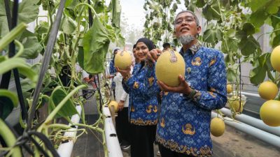 TUTURPEDIA - Widuri Pegandon, Kampung Inspiratif dari Kendal Jadi Contoh Pemberdayaan Masyarakat Nasional