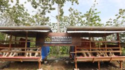 TUTURPEDIA - Widuri Pegandon, Kampung Inspiratif dari Kendal Jadi Contoh Pemberdayaan Masyarakat Nasional