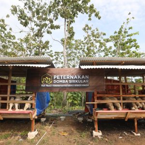 Widuri Pegandon, Kampung Inspiratif dari Kendal Jadi Contoh Pemberdayaan Masyarakat Nasional