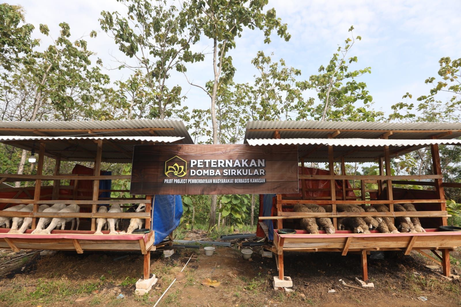 TUTURPEDIA - Widuri Pegandon, Kampung Inspiratif dari Kendal Jadi Contoh Pemberdayaan Masyarakat Nasional