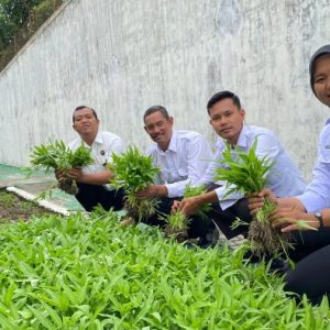 Panen Raya Kangkung dan Terong di Rutan Blora : Warga Binaan Belajar Jadi Petani