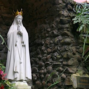 Menepi Sejenak di Rawaseneng: Antara Susu Sapi, Sunyi Pertapaan, dan Doa Jam 3 Pagi