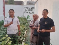 Bukan Sekadar Pembinaan: Rutan Blora Sukses Sulap Lahan Jadi Sumber Pangan Mandiri, untuk Ketahanan Pangan