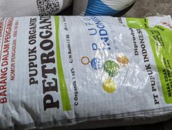 Jeritan Petani Blora: Selain Langka, Pupuk Dijual Mahal Bukan di Atas Lagi, Tapi Dua Kali Lipatnya