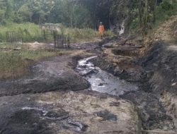 Kebakaran Gandu dan Ancaman Take Down Berita: Alarm Darurat Kebebasan Pers di Blora