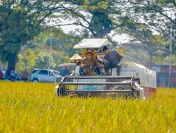 Ini Strategi Pemprov Jateng Jaga Sawah Demi Swasembada Pangan 2026