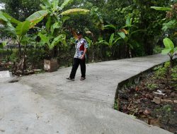 Kaliwedi Sragen: Perjalanan Desa dari Tertinggal hingga Menjadi Mandiri