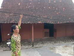 Warga di Blora Geram, Gegara Kabel Telekomunikasi Melintas Didepan Rumahnya