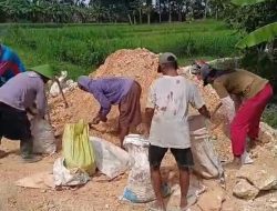 “Keneng Gawe” di Tengah Sawah: Swadaya Petani Jepangrejo Perkeras Jalan Demi Selamatkan Panen