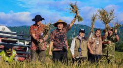 Panen Raya Serentak 35 Daerah di Jawa Tengah, 3 Bulan Hasilkan 3,35 Juta Ton GKG* 3 TUTURPEDIA - Panen Raya Serentak 35 Daerah di Jawa Tengah, 3 Bulan Hasilkan 3,35 Juta Ton GKG*