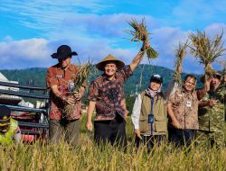 Panen Raya Serentak 35 Daerah di Jawa Tengah, 3 Bulan Hasilkan 3,35 Juta Ton GKG*