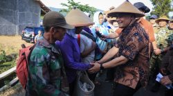 Panen Raya Serentak di 35 Daerah, Jateng Bidik 3,35 Juta Ton Gabah Awal 2026 7 TUTURPEDIA - Panen Raya Serentak di 35 Daerah, Jateng Bidik 3,35 Juta Ton Gabah Awal 2026