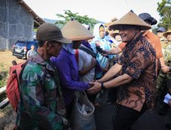 Panen Raya Serentak di 35 Daerah, Jateng Bidik 3,35 Juta Ton Gabah Awal 2026