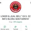 Solusi Cari Kerja Dan Cuan di Ujung Jari: Mengenal Lebih Dekat Grup WhatsApp “IBS”