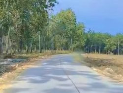 Akses Ekonomi Makin Lancar! Jalan Bangkleyan-Doplang Kini Mulus, Transformasi Infrastruktur Jati Terus Berlanjut