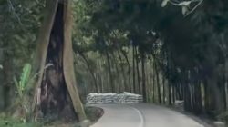 TUTURPEDIA - Wajah Baru Jalanan Blora-Tuban: Sinergi Pusat dan Daerah Tuntaskan IJD 2025, Warga Beri Apresiasi Tinggi