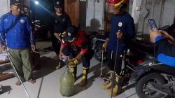 Sembunyi di Rumah Warga Desa Jepangrejo, Ular Kobra Dievakuasi Tim Damkar Blora dalam Hitungan Menit! 4 TUTURPEDIA - Sembunyi di Rumah Warga Desa Jepangrejo, Ular Kobra Dievakuasi Tim Damkar Blora dalam Hitungan Menit!