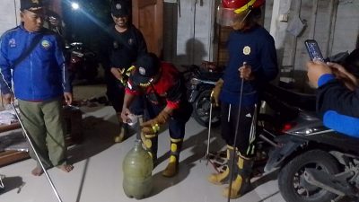 Sembunyi di Rumah Warga Desa Jepangrejo, Ular Kobra Dievakuasi Tim Damkar Blora dalam Hitungan Menit!