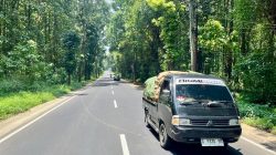 TUTURPEDIA - Jalur Tengah Siap Sambut Pemudik Lebaran, Jadikan Aman dan Nyaman Dilalui