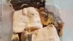 MBG Blora Kota Tercoreng! Menu Diduga Berbelatung di SD Muhammadiyah, Wali Murid Murka: “Ini Bukan Makan Bergizi Gratis, Tapi Makanan Beracun Gratis!” 4 TUTURPEDIA - MBG Blora Kota Tercoreng! Menu Diduga Berbelatung di SD Muhammadiyah, Wali Murid Murka: “Ini Bukan Makan Bergizi Gratis, Tapi Makanan Beracun Gratis!”