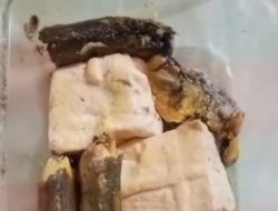 MBG Blora Kota Tercoreng! Menu Diduga Berbelatung di SD Muhammadiyah, Wali Murid Murka: “Ini Bukan Makan Bergizi Gratis, Tapi Makanan Beracun Gratis!”