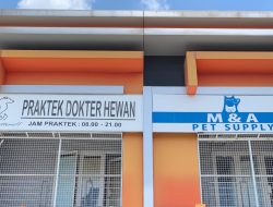 Made Animal Care dan M&A Pet Supply: Klinik Hewan dan Petshop Terintegrasi yang Mengutamakan Diagnosis Berbasis Data di Sleman