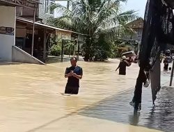 2.839 Warga Demak Mengungsi Akibat Banjir! Perlengkapan Bayi Dibutuhkan