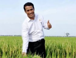 Inpres 4/2026 Diterbitkan, Stok Beras RI Cetak Rekor Tertinggi Sepanjang Sejarah! Harga Gabah Tak Jatuh