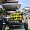 Gas Subsidi Diselundupkan ke Blora Digagalkan! 200 Tabung LPG 3 Kg Diamankan Polisi