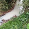 Sungai di Brumbung Berubah Bak “Kolam Susu”, Limbah Usaha Barang Bekas Dikeluhkan Warga