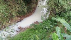 TUTURPEDIA - Sungai di Brumbung Berubah Bak “Kolam Susu”, Limbah Usaha Barang Bekas Dikeluhkan Warga