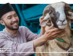 Stok Hewan Kurban Idul Adha 2026 Dipastikan Aman, Kementan Catat Surplus Hampir 900 Ribu Ekor