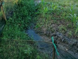Diduga Cemari Lingkungan, Limbah Peternakan Lele di Desa Kamolan Dikeluhkan Warga! Sempat Lapor DLH Blora Tak Digubris!