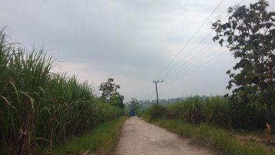 Potensi Wisata Penangkaran Rusa Terganjal Akses! Warga dan Wisatawan Desak Pemkab Blora Segera Tuntaskan Kerusakan Jalan Tlogotuwung
