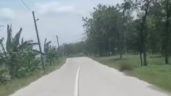 Berem Jalan: Penopang Sunyi yang Menentukan Keselamatan Pengguna Jalan di Blora–Getas Randublatung 5 TUTURPEDIA - Berem Jalan: Penopang Sunyi yang Menentukan Keselamatan Pengguna Jalan di Blora–Getas Randublatung