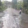Sindiran Pedas Warga Blora ke Pemprov Jateng: Bayar Pajak Lancar, Jalan Randublatung Tetap Mirip Kubangan