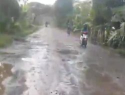 Sindiran Pedas Warga Blora ke Pemprov Jateng: Bayar Pajak Lancar, Jalan Randublatung Tetap Mirip Kubangan