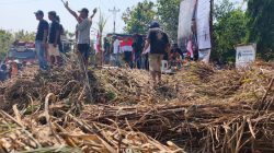 Panggung Demokrasi Tumpah Tebu! Plt Direktur Utama PG GMM Blora, Sri EM: Kita Bentuk Tim Dulu 6 TUTURPEDIA - Panggung Demokrasi Tumpah Tebu! Plt Direktur Utama PG GMM Blora, Sri EM: Kita Bentuk Tim Dulu
