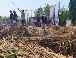 Panggung Demokrasi Tumpah Tebu! Plt Direktur Utama PG GMM Blora, Sri EM: Kita Bentuk Tim Dulu