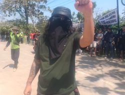 Petani Tebu Menunggu Kepastian: Ultimatum Waktu untuk PG GMM dan Bulog di Tengah Ancaman Penurunan Kualitas Panen!