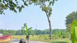 TUTURPEDIA - Sejumlah Warga kembali Blokade Jalan Provinsi, Tuntut Perbaikan Total 2,6 Kilometer