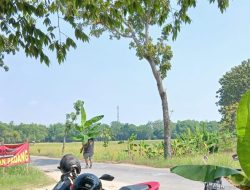 Sejumlah Warga kembali Blokade Jalan Provinsi, Tuntut Perbaikan Total 2,6 Kilometer