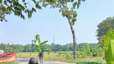 Sejumlah Warga kembali Blokade Jalan Provinsi, Tuntut Perbaikan Total 2,6 Kilometer