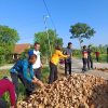 Sinergi Tanpa Batas! Forkopimcam Jepon Bersama Warga Geneng Bahu-Membahu Uruk Jalan Kemloko Berbekal 4 Rit Grosok