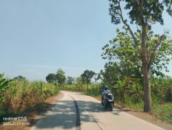 Mulus Tapi Gelap! Jalan Tunjungan–Japah Bikin Nyaman Siang Hari, Warga Minta PJU Demi Keamanan Malam