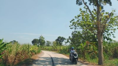 Mulus Tapi Gelap! Jalan Tunjungan–Japah Bikin Nyaman Siang Hari, Warga Minta PJU Demi Keamanan Malam 13 TUTURPEDIA - Mulus Tapi Gelap! Jalan Tunjungan–Japah Bikin Nyaman Siang Hari, Warga Minta PJU Demi Keamanan Malam