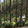 Blora Hadir di Forest Art Camp 2026, Gaungkan Cinta Alam Lewat Seni