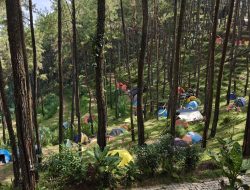 Blora Hadir di Forest Art Camp 2026, Gaungkan Cinta Alam Lewat Seni