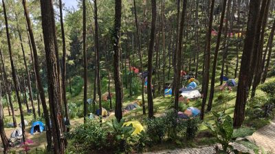 Blora Hadir di Forest Art Camp 2026, Gaungkan Cinta Alam Lewat Seni